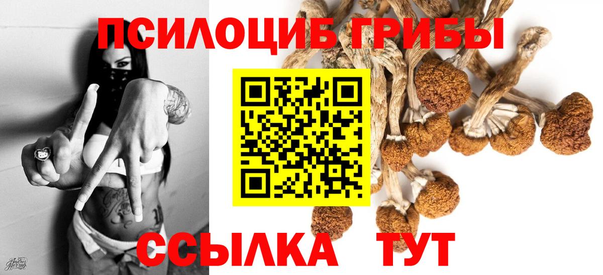 Галлюциногенные грибы ЛСД Балтийск